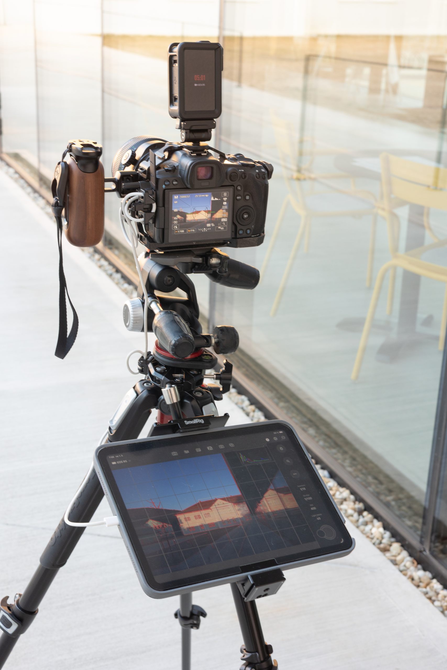 2026-02-Litterra-bts-2