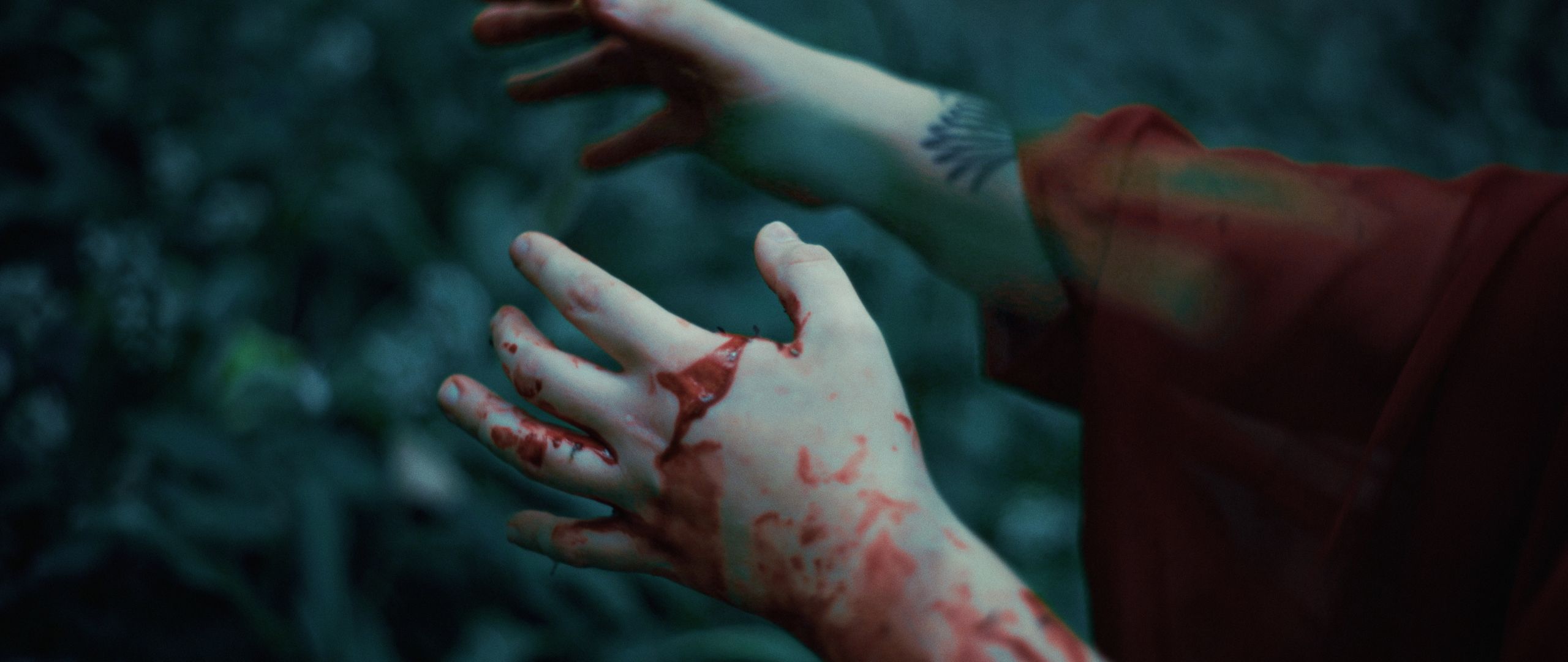 Clip-06_01_02_23_05